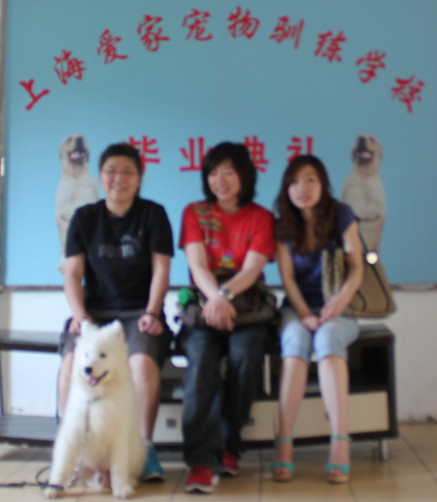 上海爱家宠物训练基地